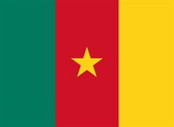 [ai] The flag of Cameroon, featuring three vertical stripes of green, red, and yellow with a central yellow star on the red stripe.