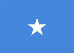 [ai] A simple flag featuring a light blue background with a single white five-pointed star in the center.